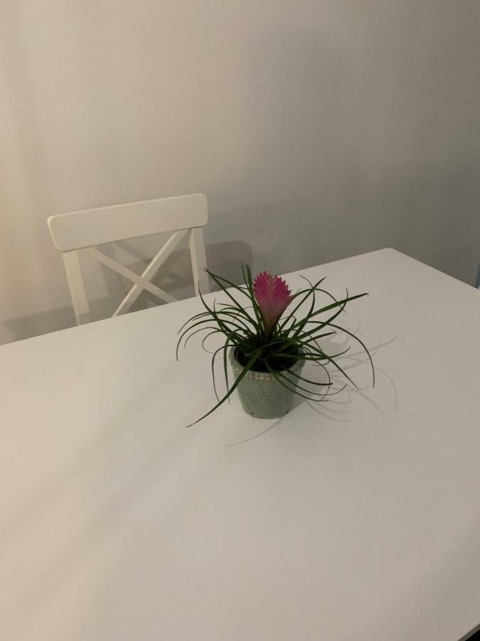 那沃达利Garsoniera De La Mare公寓 外观 照片